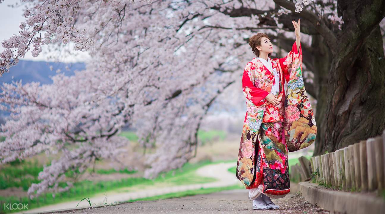 klook hanami sakura japan kimono