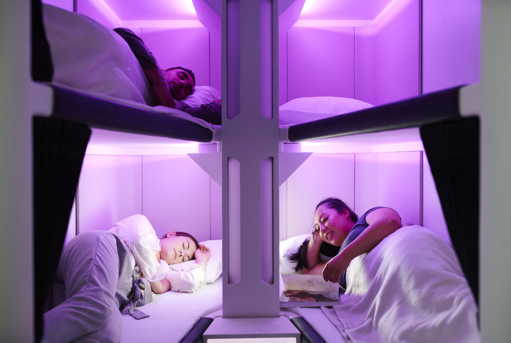 air new zealand skynest