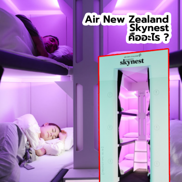 air-new-zealand-skynest